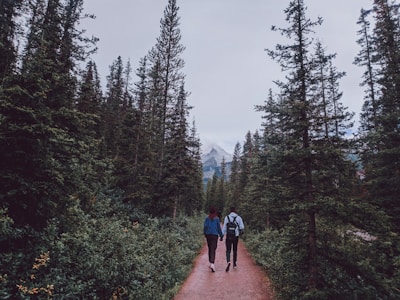 A couple walks hand in hand down a forested path surrounded by tall evergreen trees, with a mountain visible in the distance. The scene is serene and peaceful, suggesting a connection with nature and adventure.