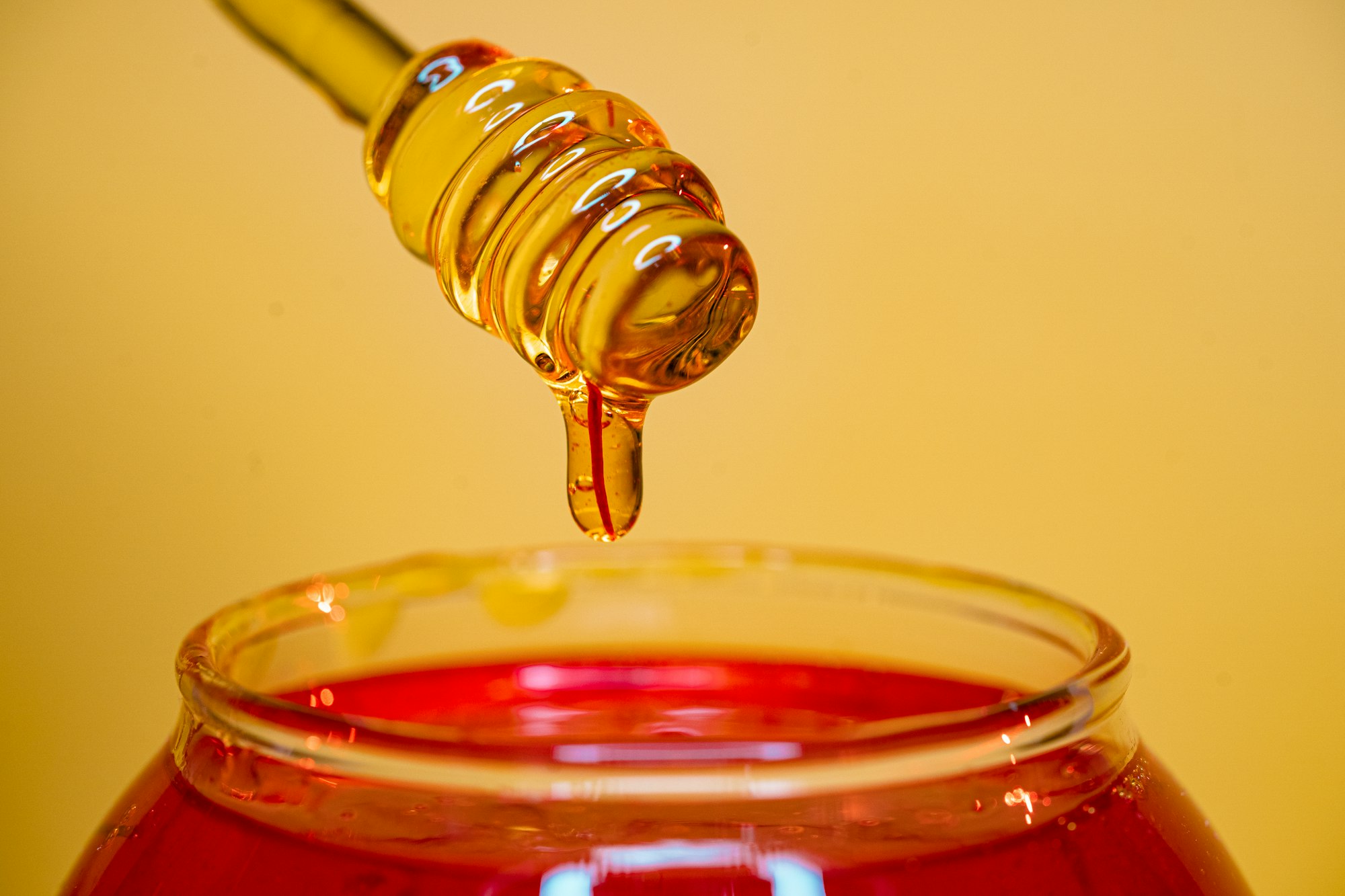 is honey safe for dogs