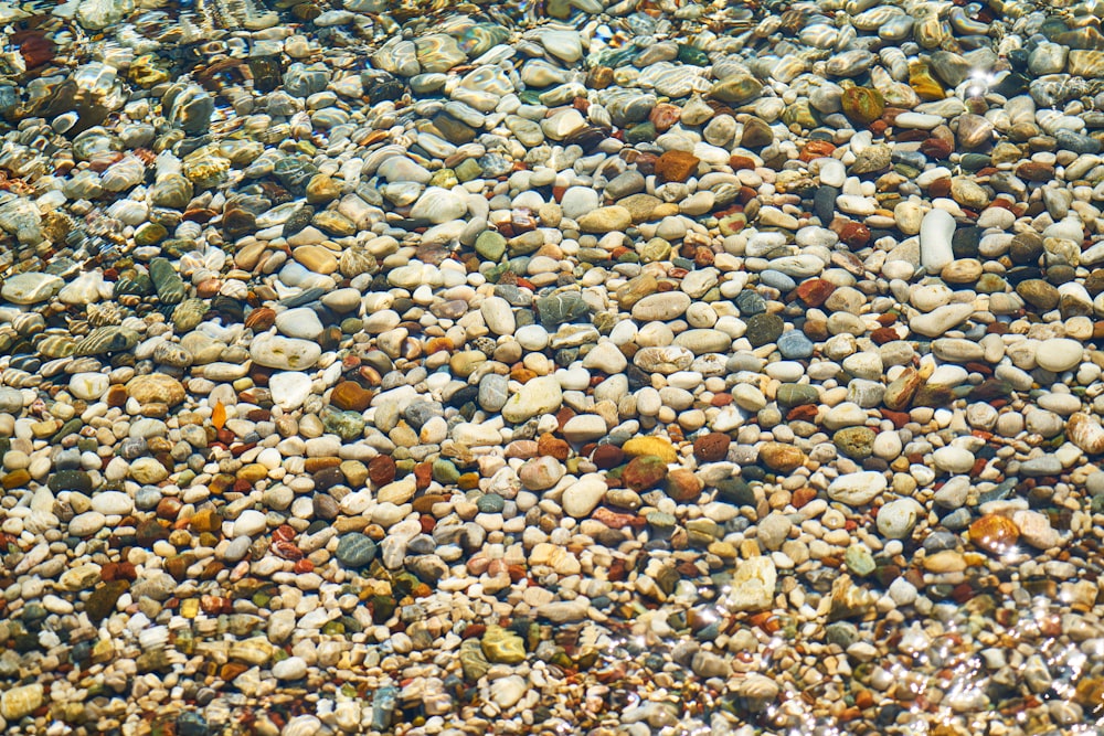 white and brown stones on water