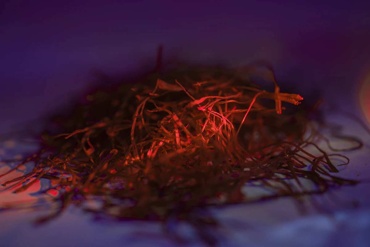 Saffron threads under warm red light