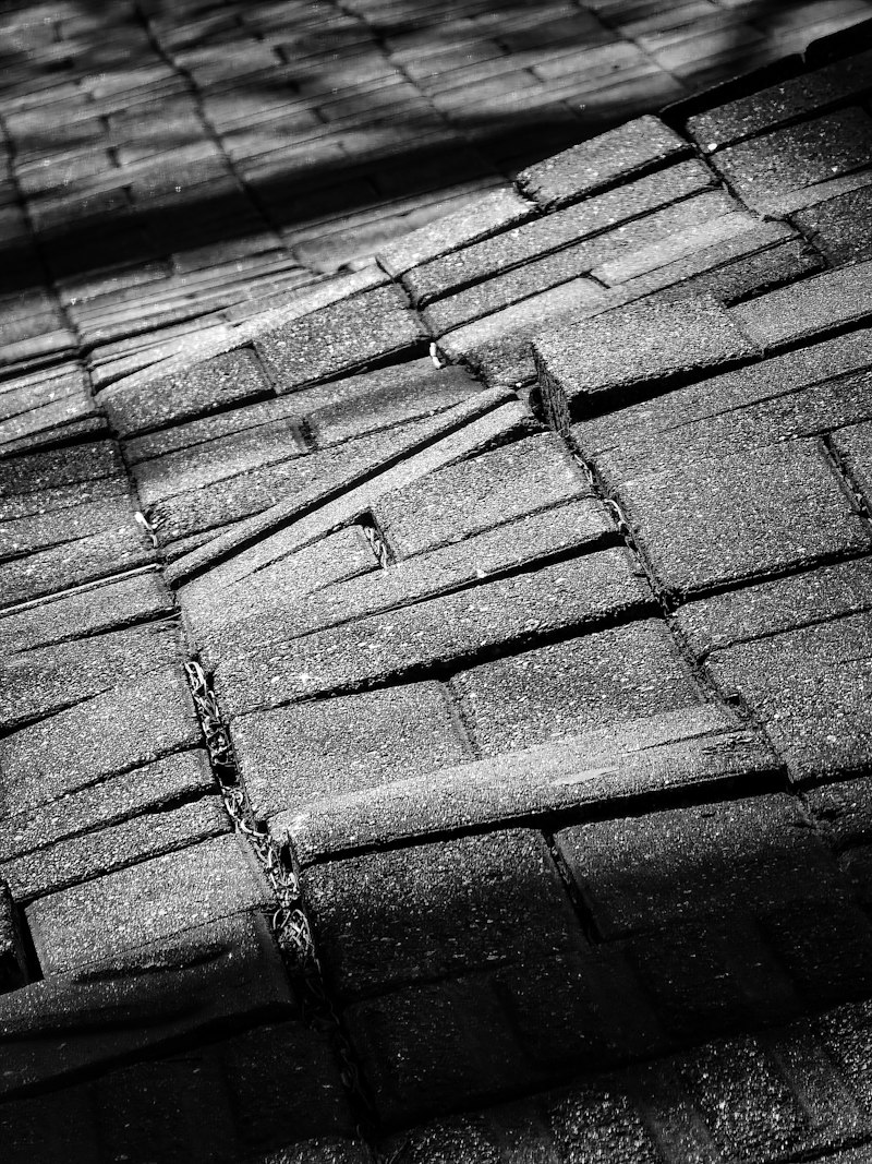 Storm Damage & Insurance Claims