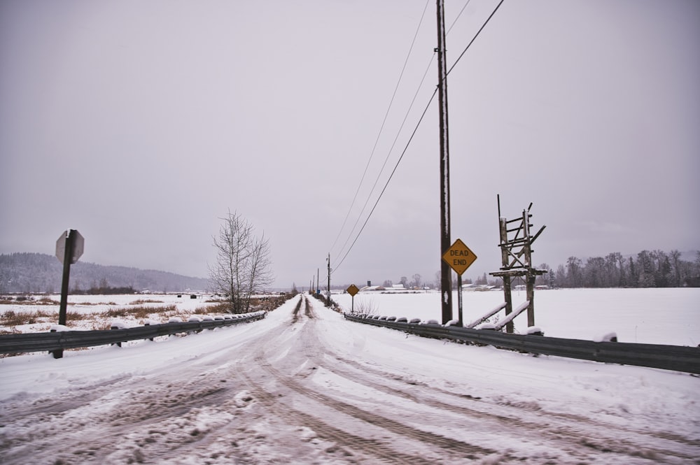 snow covered road with trees during daytime