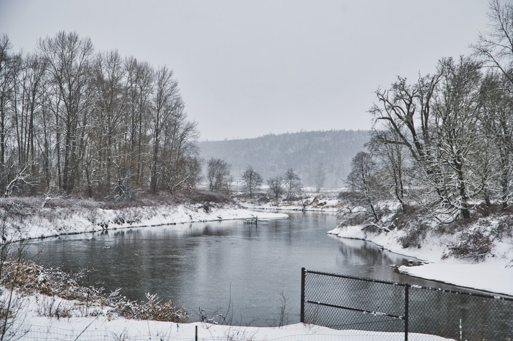 snow covered trees beside river during daytime