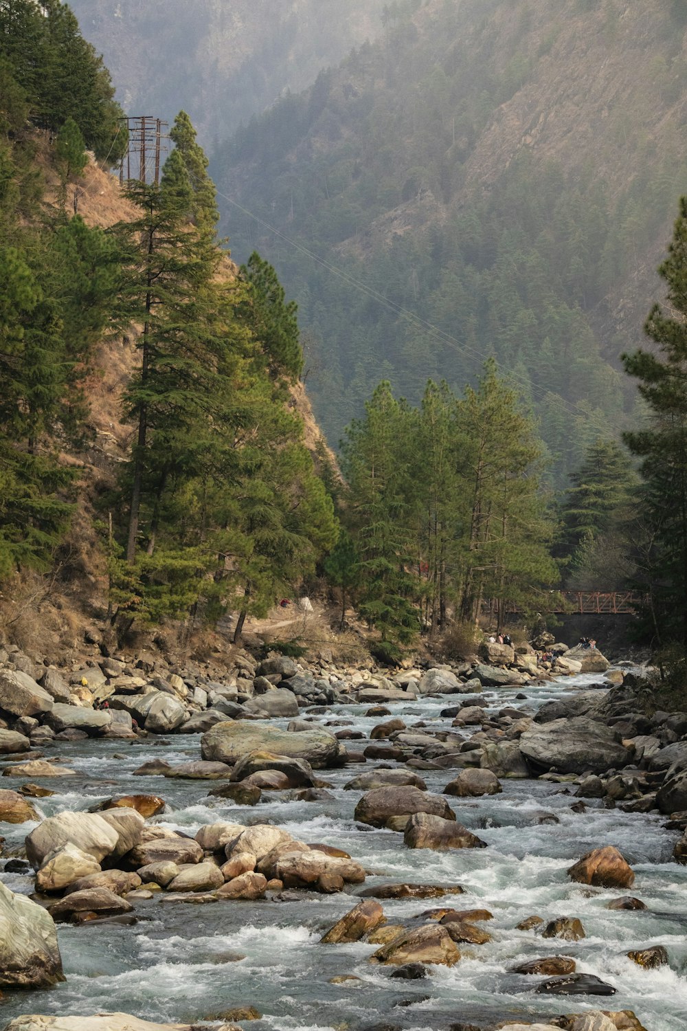 a river running through a lush green forest