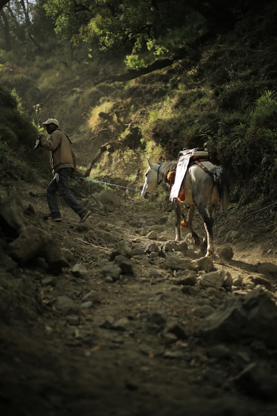 man in blue jacket and blue denim jeans riding white horse during daytime in Wonchi Ethiopia