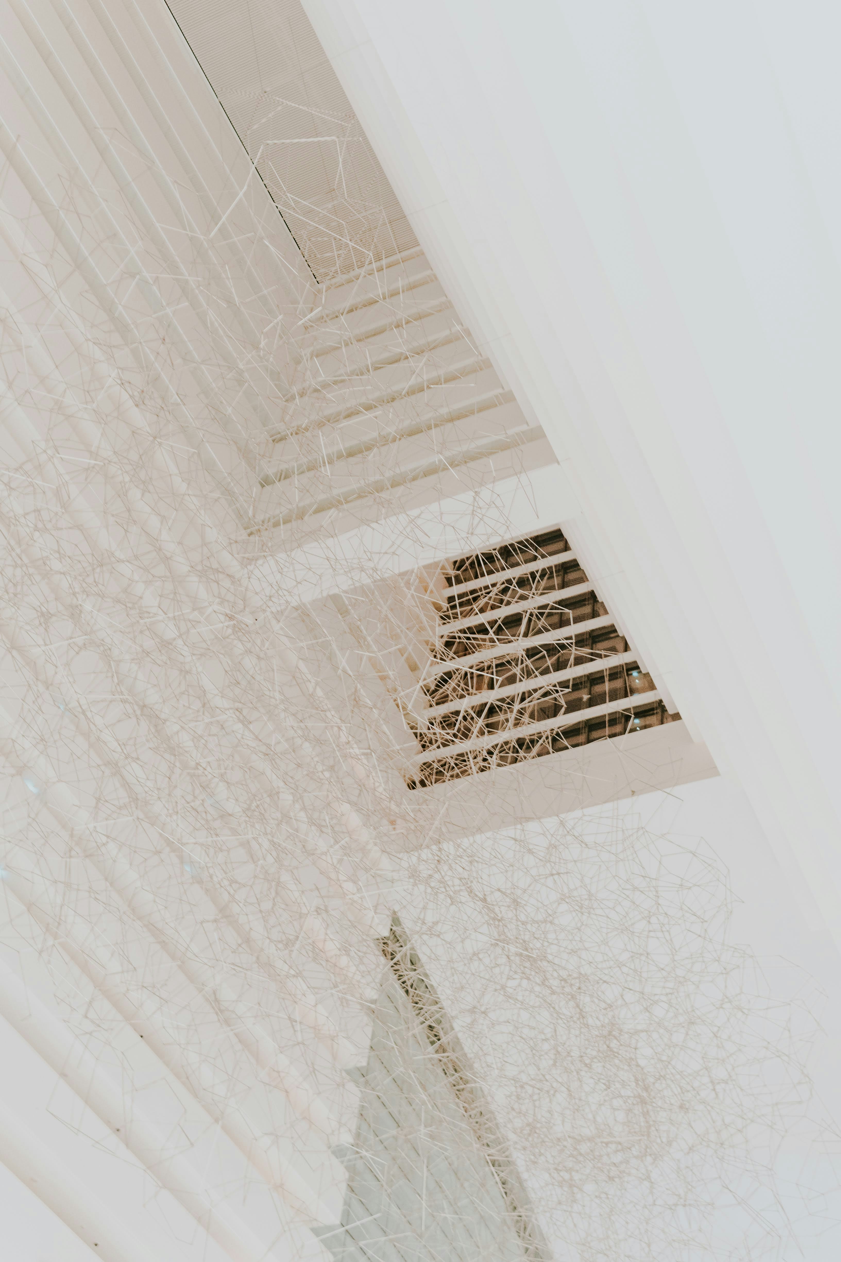 Photo by animgraphlab