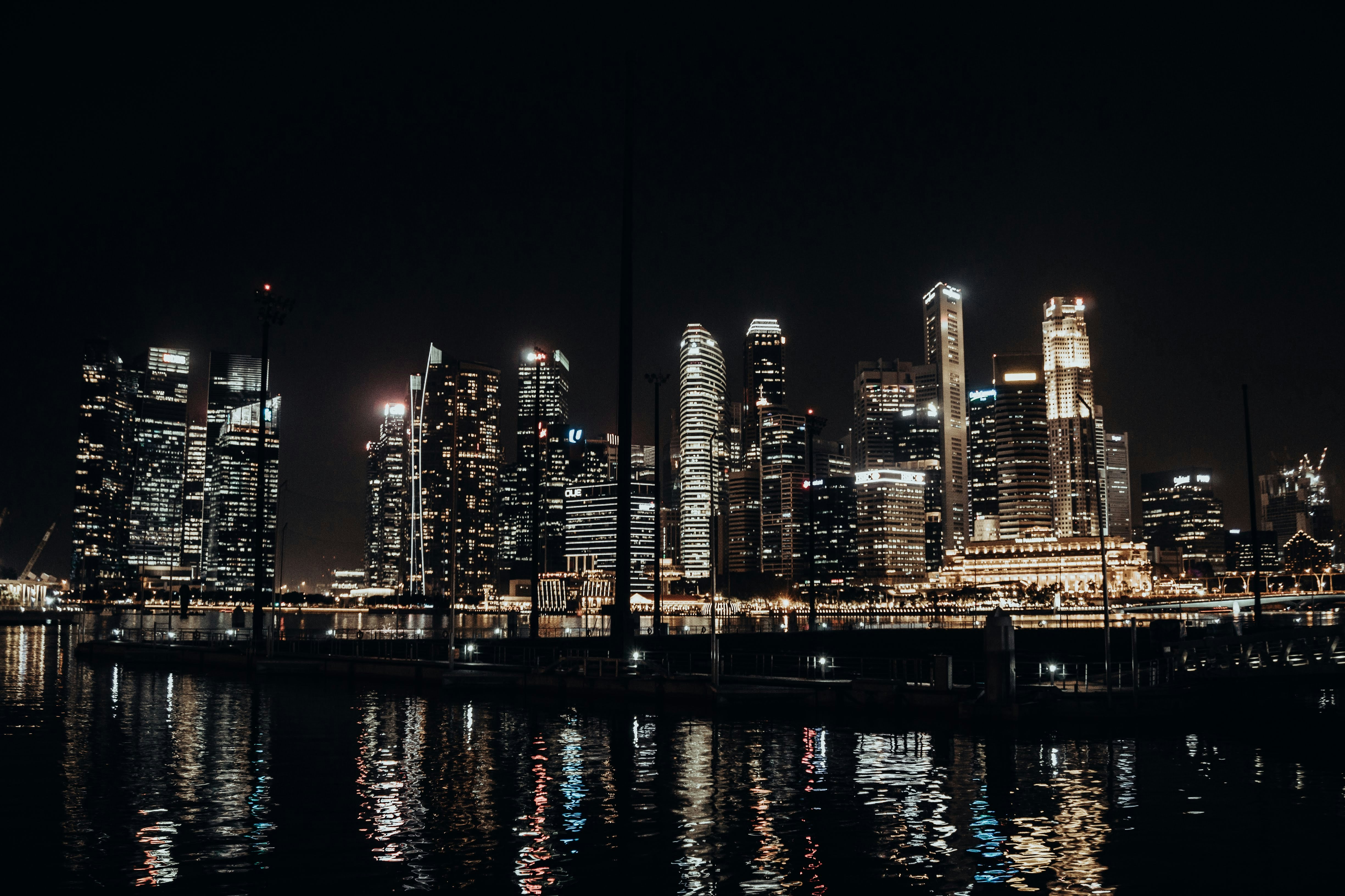 Photo by animgraphlab