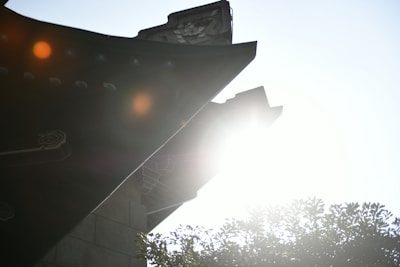 Sunlight filtering through coconut trees onto the old tiled roof of a traditional Kerala house near the beach.