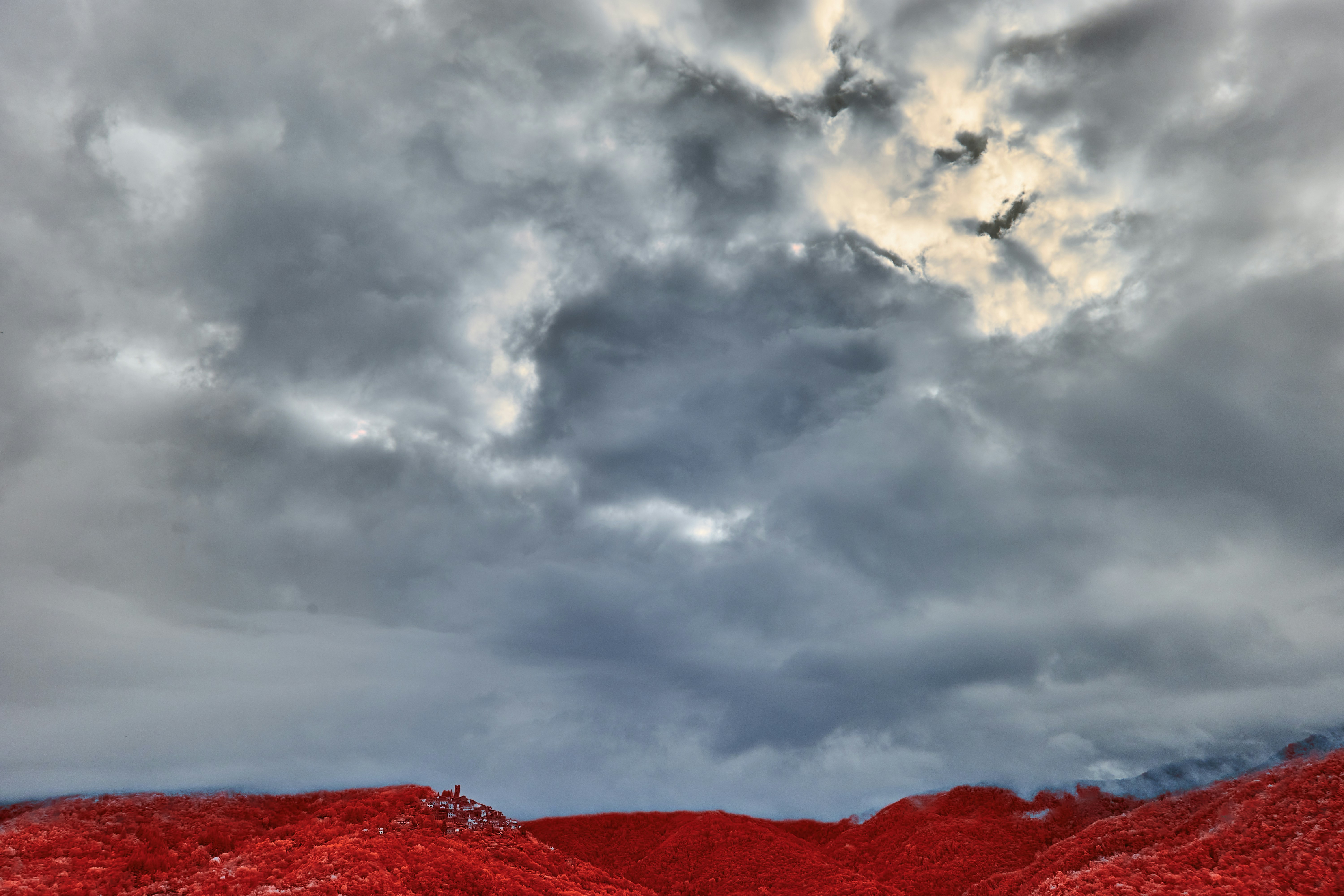 Photo by wolfgang_hasselmann