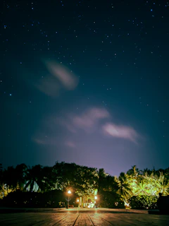 A night view of Paradisean illuminated softly by onboard lights under a starry sky.