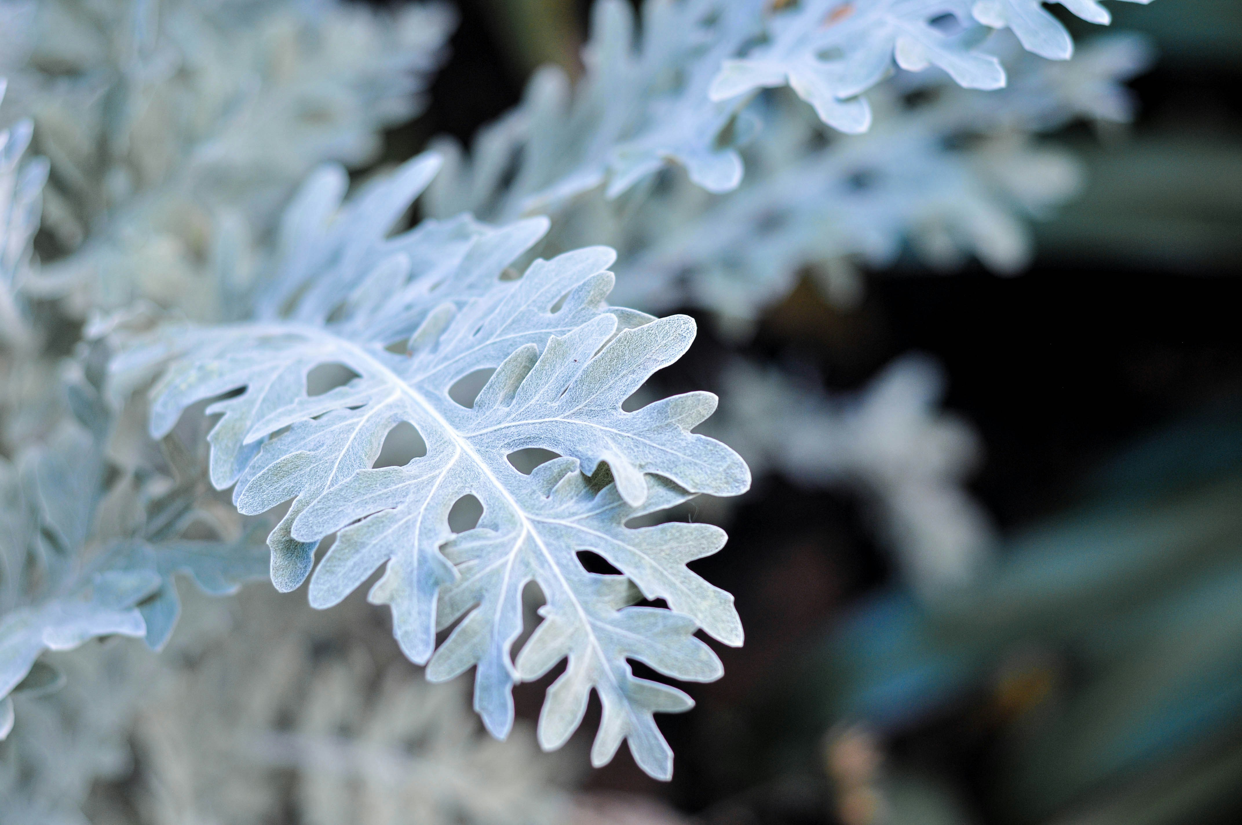 Photo by kendalpercimoney