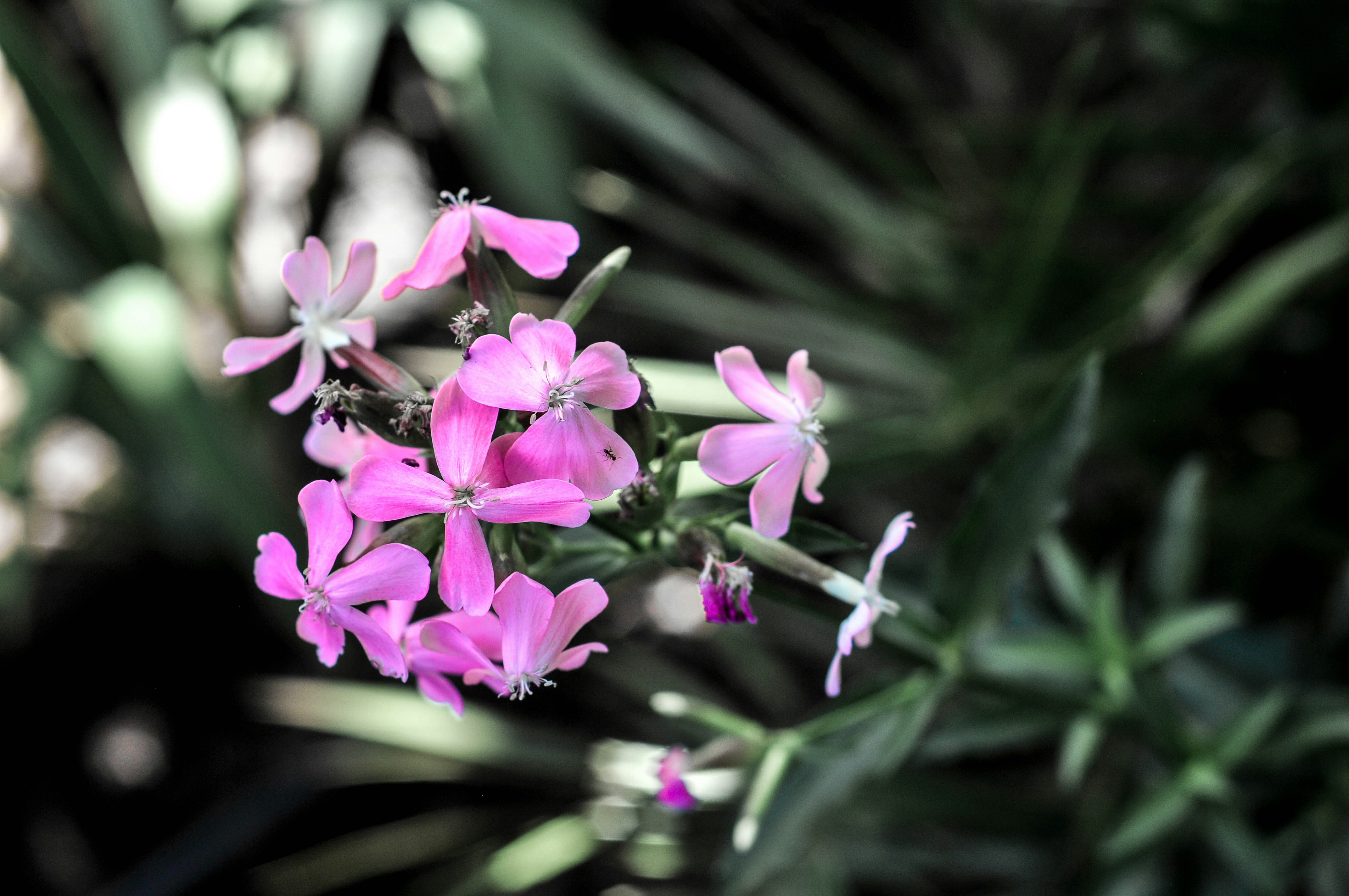 Photo by kendalpercimoney