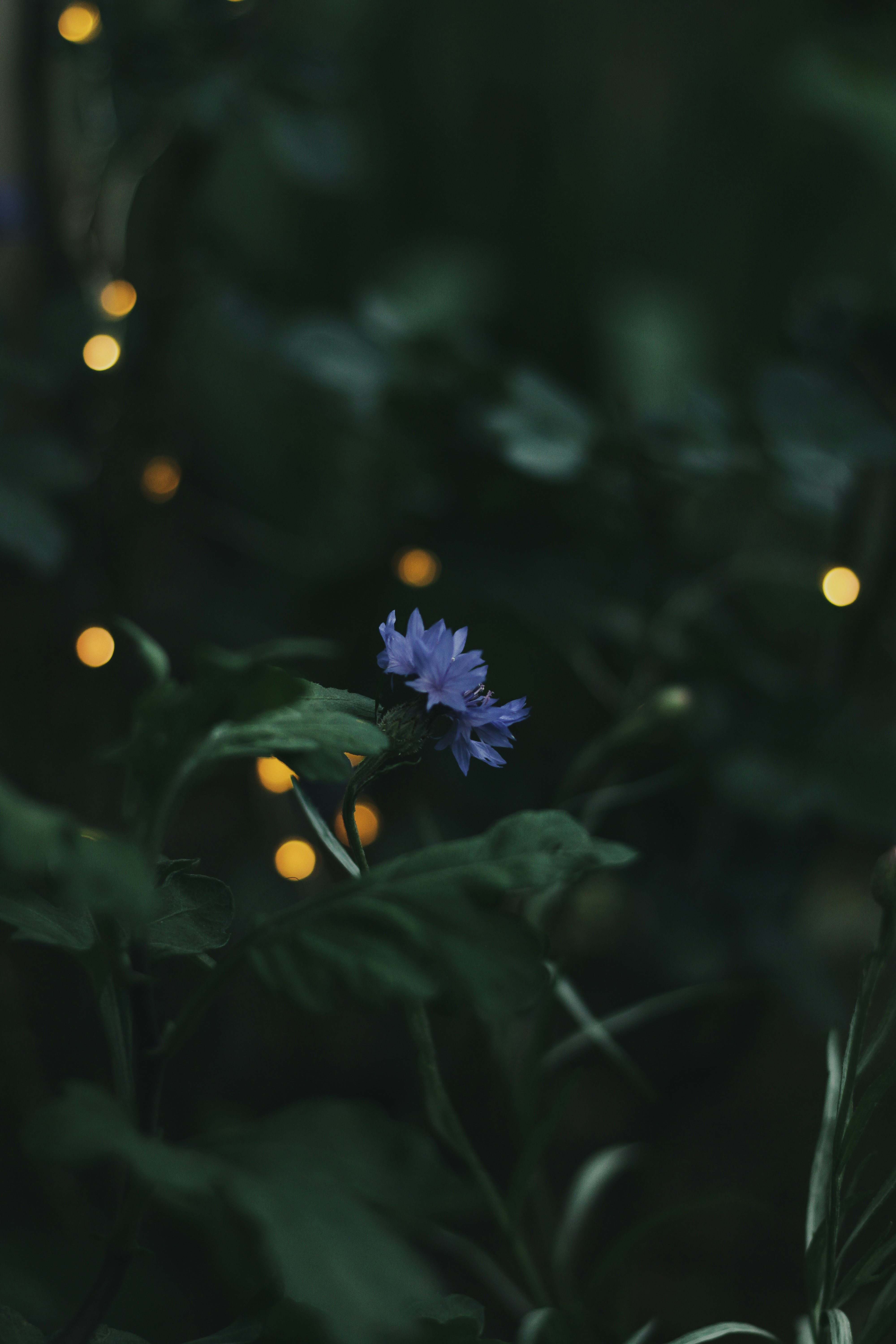 Photo by captured_hr