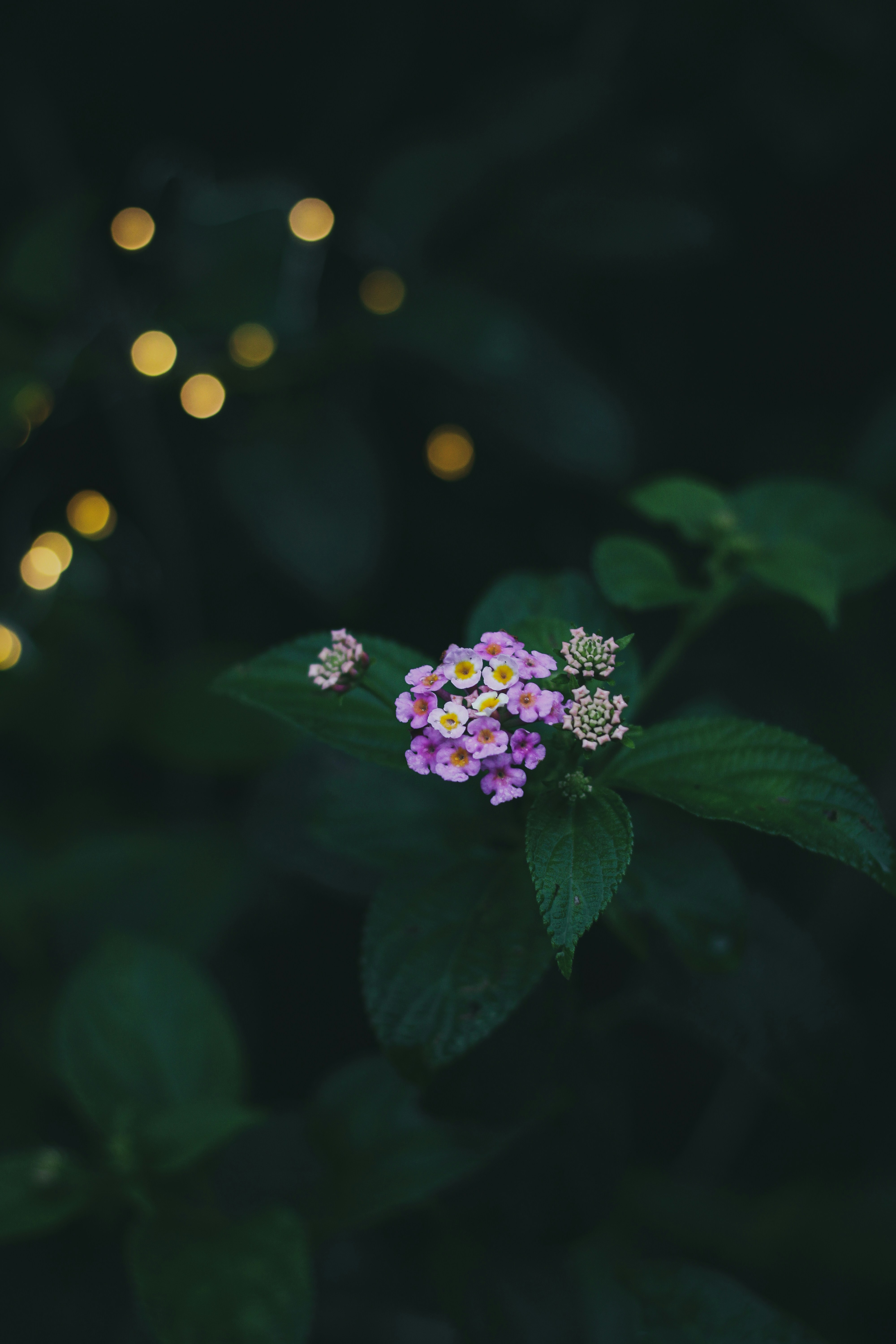 Photo by captured_hr