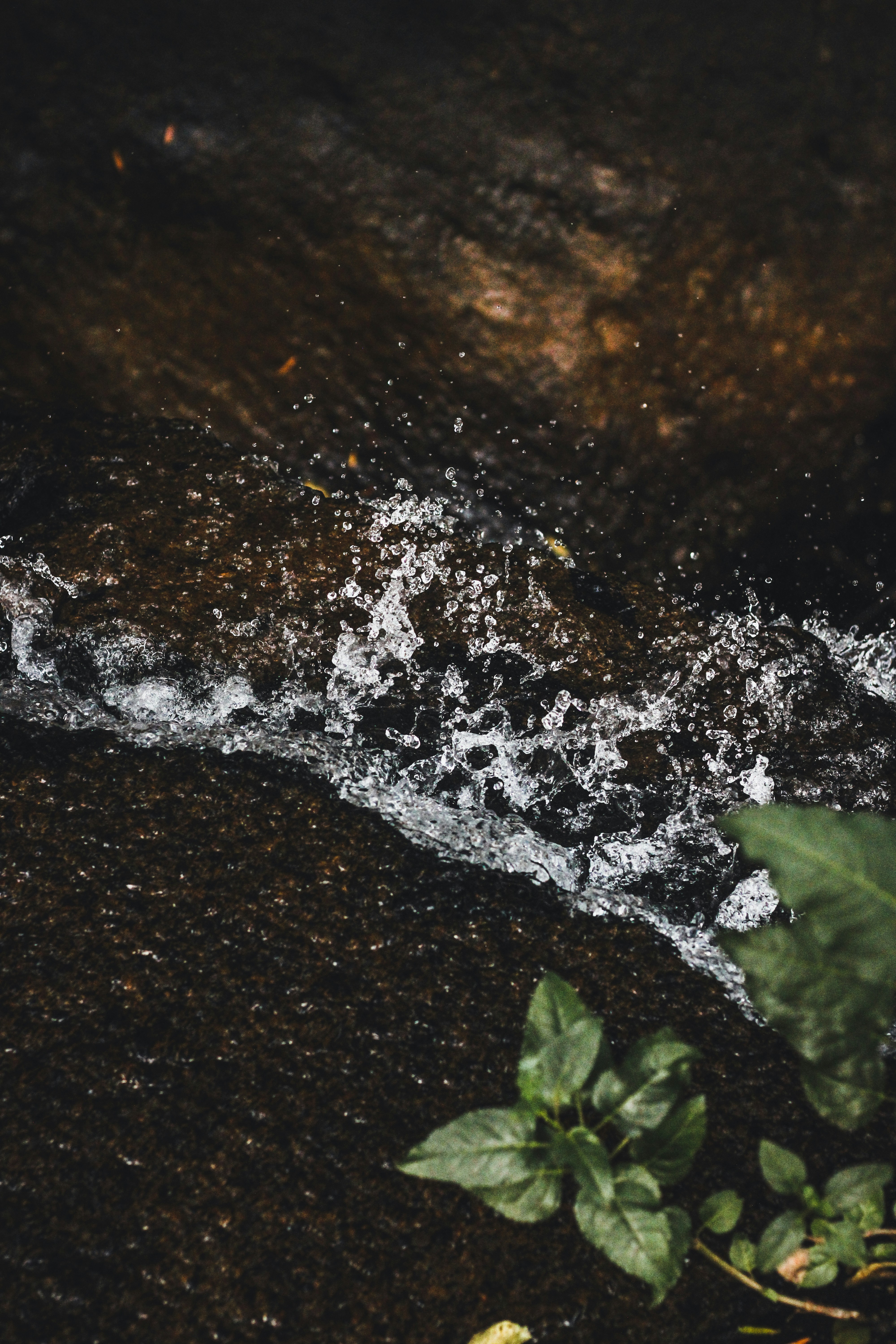 Photo by captured_hr