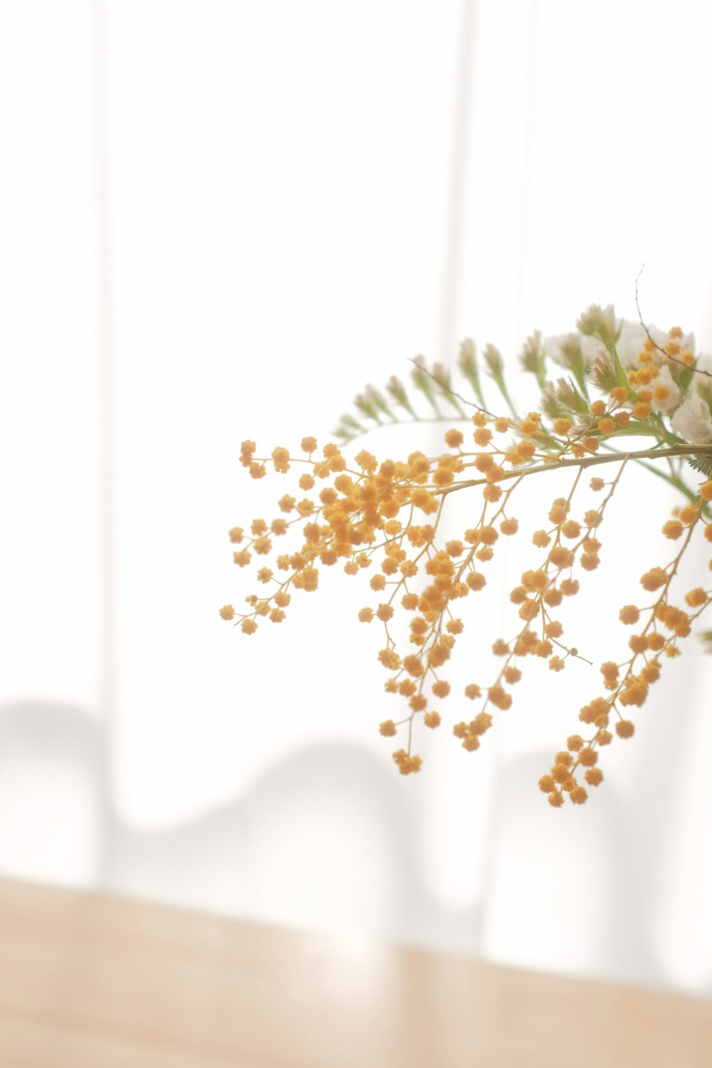 white and brown flower in close up photography