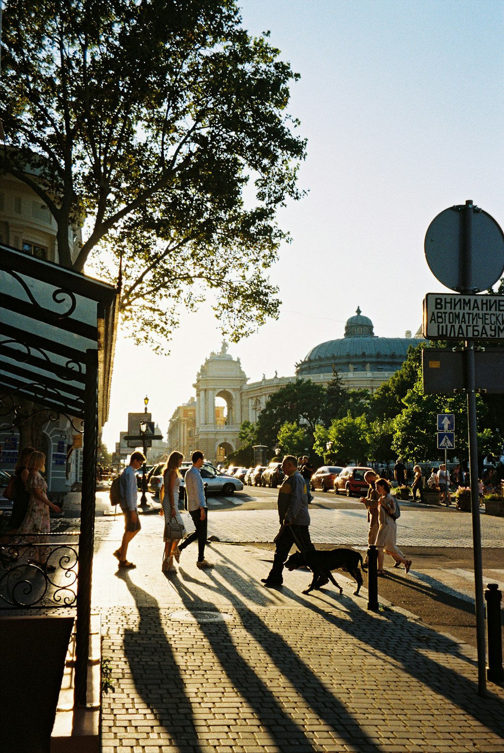 people walking on street during daytime