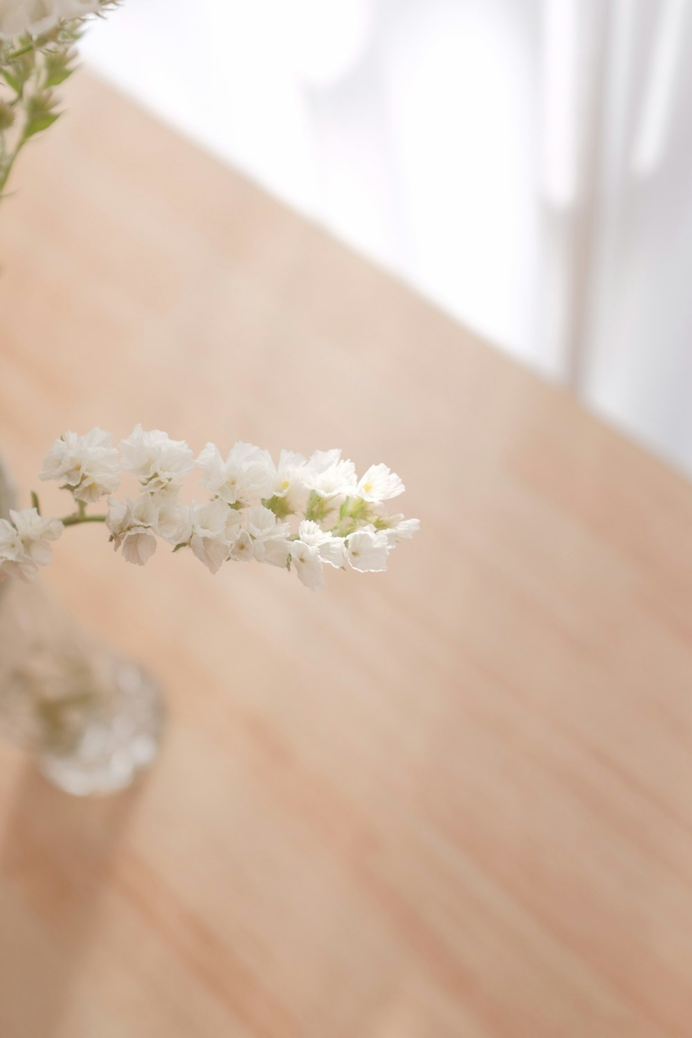 white flower on brown wooden table