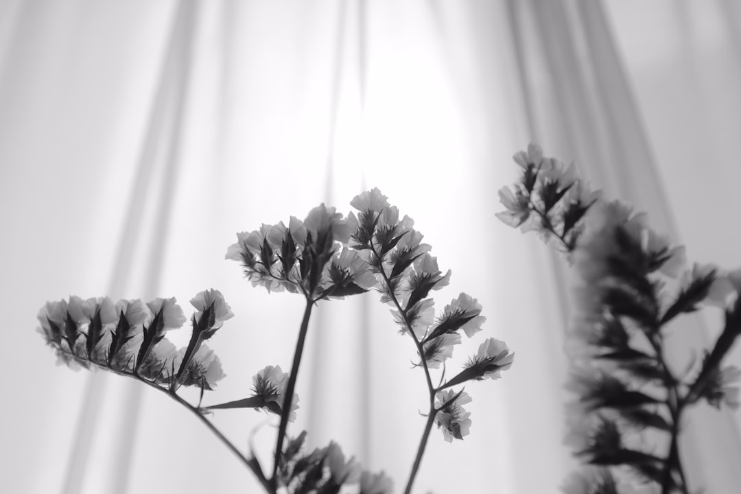 grayscale photo of flowers in white textile
