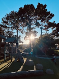 Sunlight streams through tall trees in a park setting, casting long shadows on the ground. A playground with wooden structures and artificial grass is visible. Several children play near the equipment, enjoying the outdoor space.