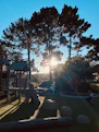 Children playing joyfully in a sunlit park, their laughter almost visible in the warm light