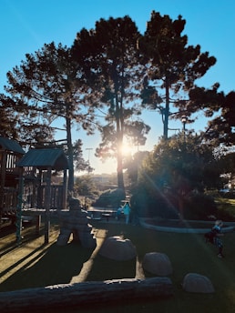 Sunlight streams through tall trees in a park setting, casting long shadows on the ground. A playground with wooden structures and artificial grass is visible. Several children play near the equipment, enjoying the outdoor space.