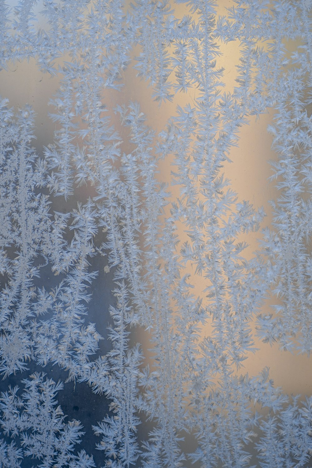 white and brown tree under blue sky during daytime