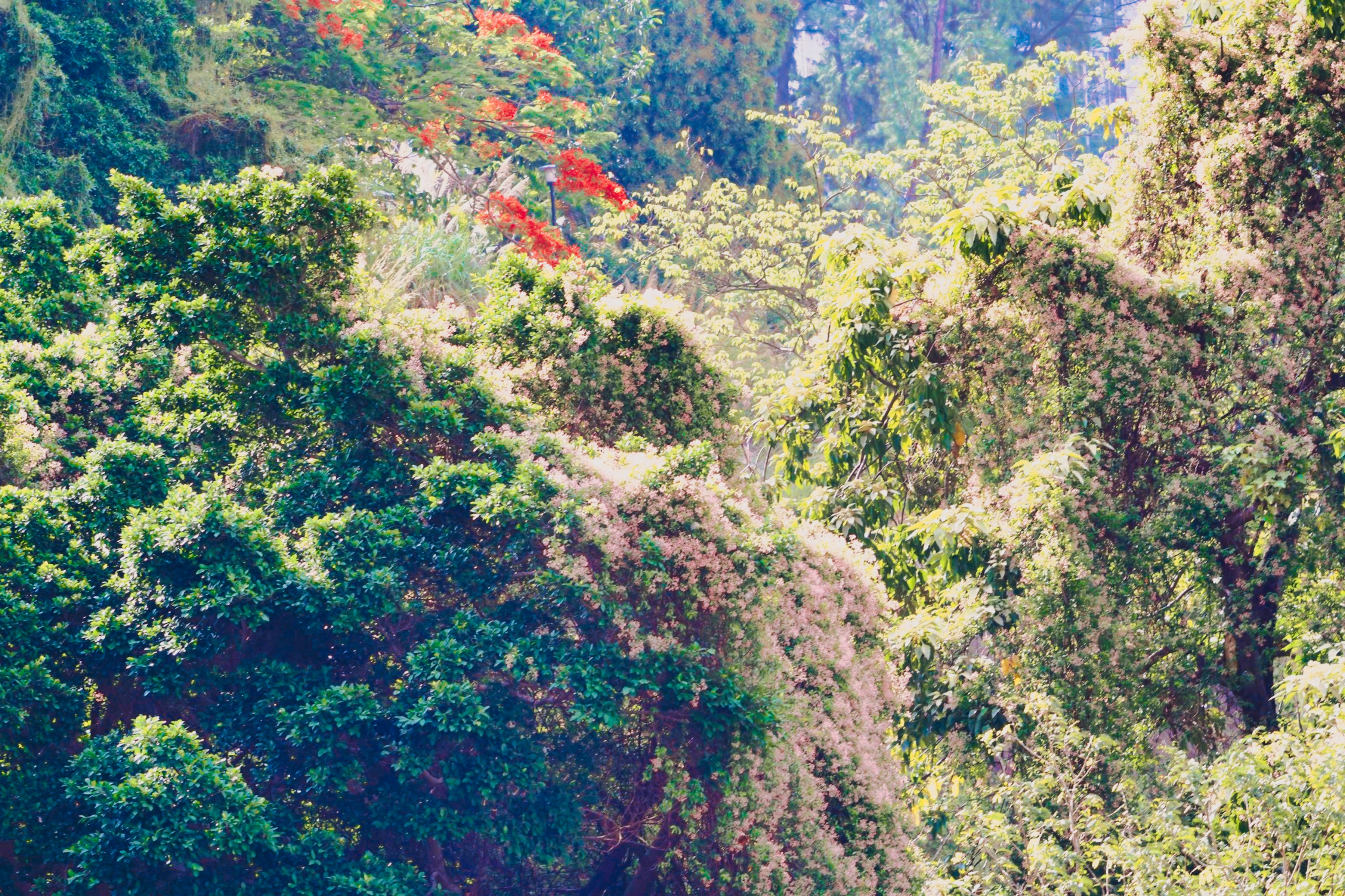 Photo by thomaskinto