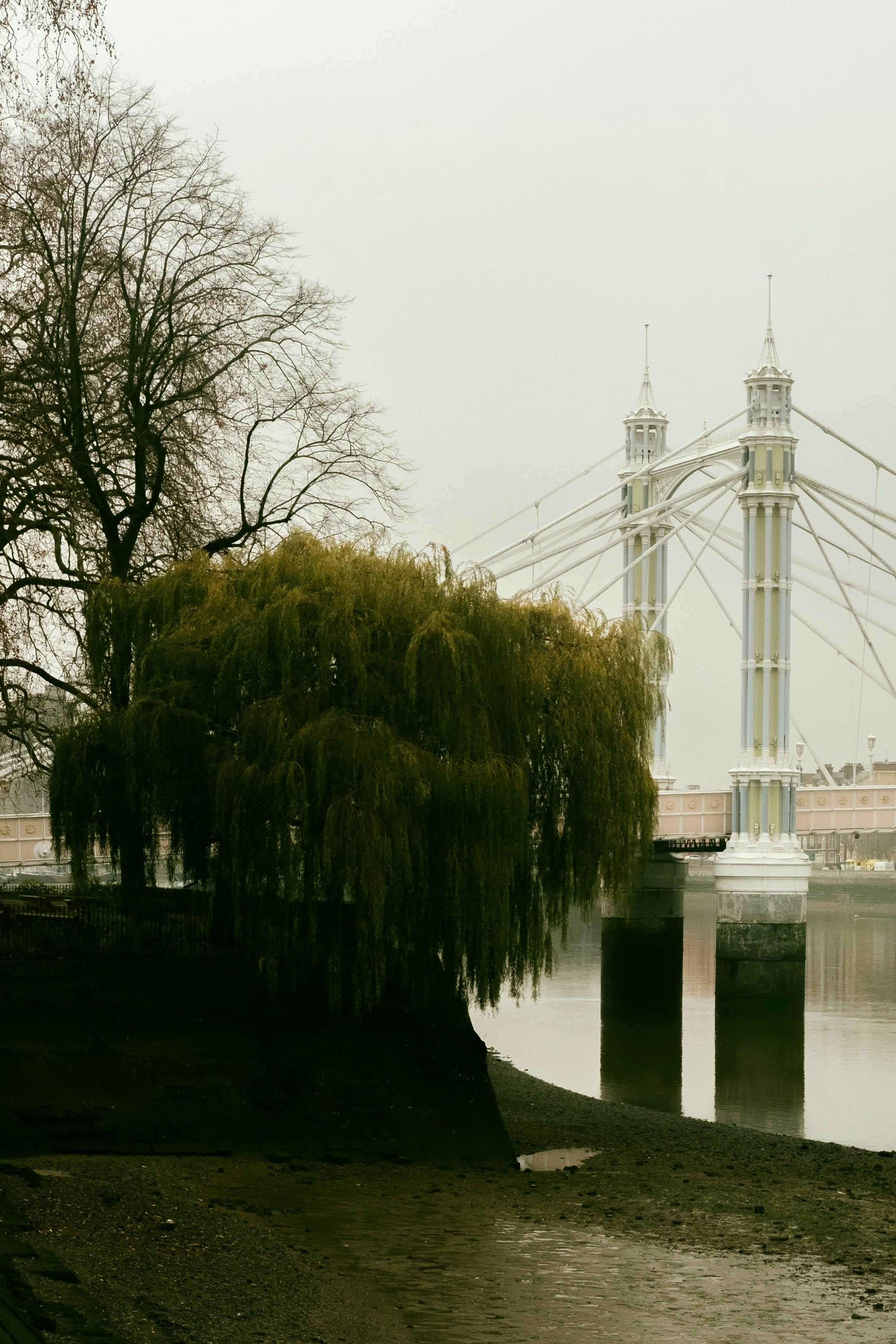 Evening: The Thermae Bath Spa & a Local Pub
