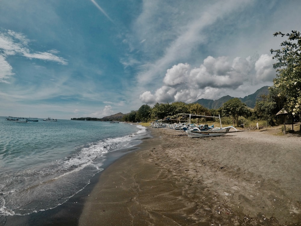 white boat on beach during daytime