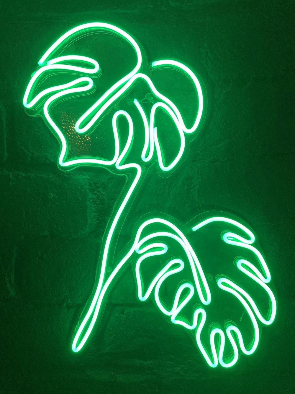 sinalização de luz neon branca e verde