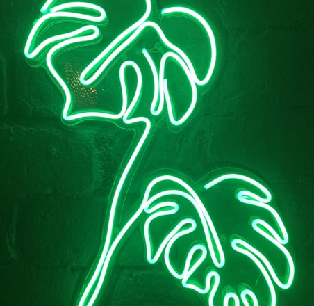 white and green neon light signage