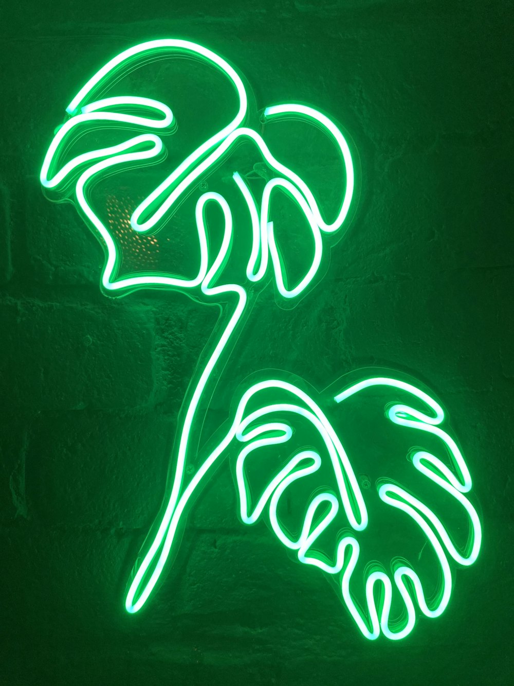 white and green neon light signage