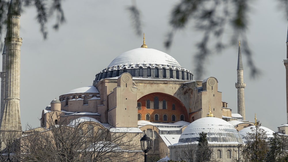 brown and white dome building