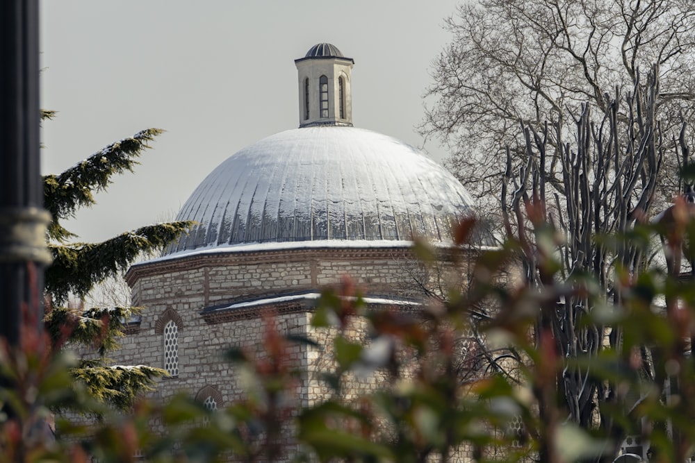 white dome building near trees during daytime