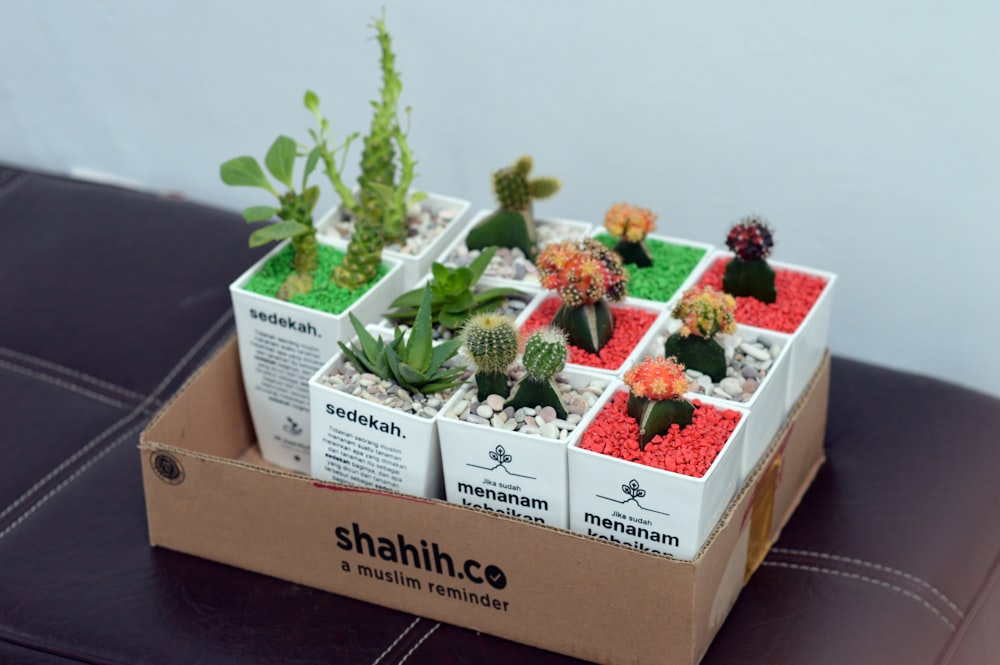 red and green flower bouquet in brown cardboard box