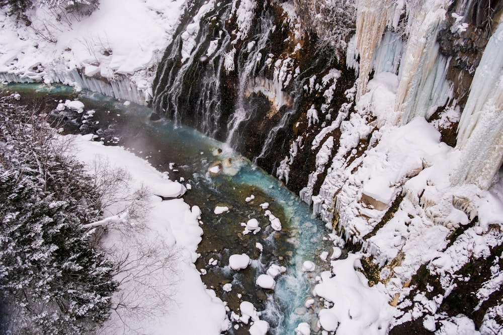 river between trees covered with snow