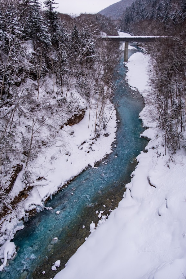 Exploring Biei: A Tranquil Retreat in Hokkaido
