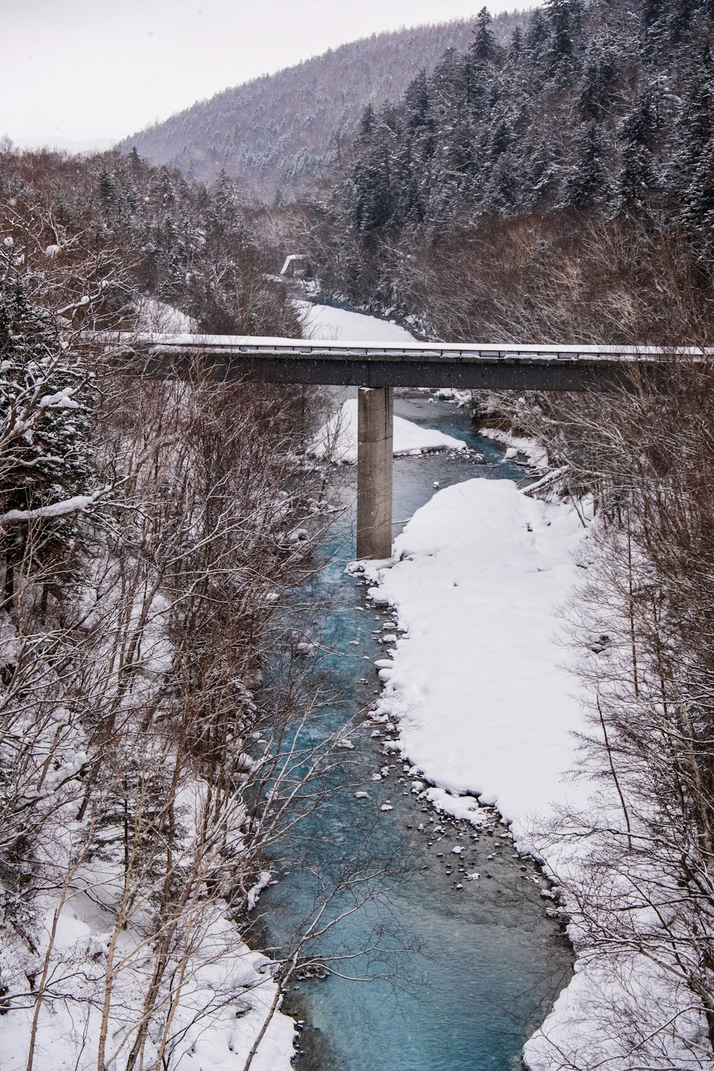 brown wooden bridge over river