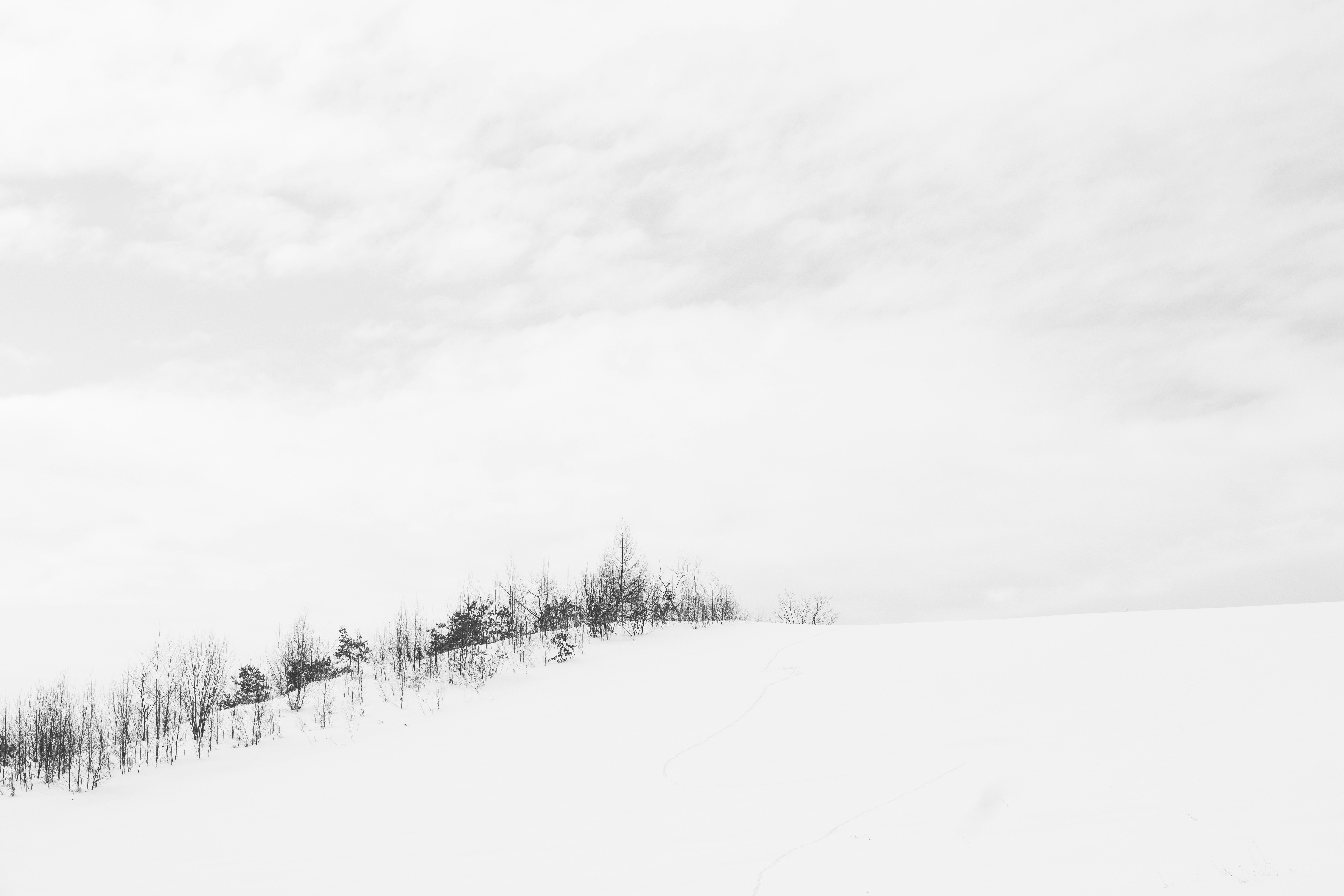 Photo by alittlebetterthanadream