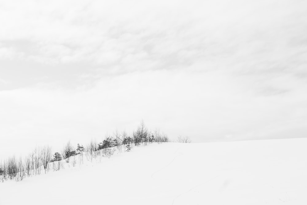 snow covered field under cloudy sky during daytime