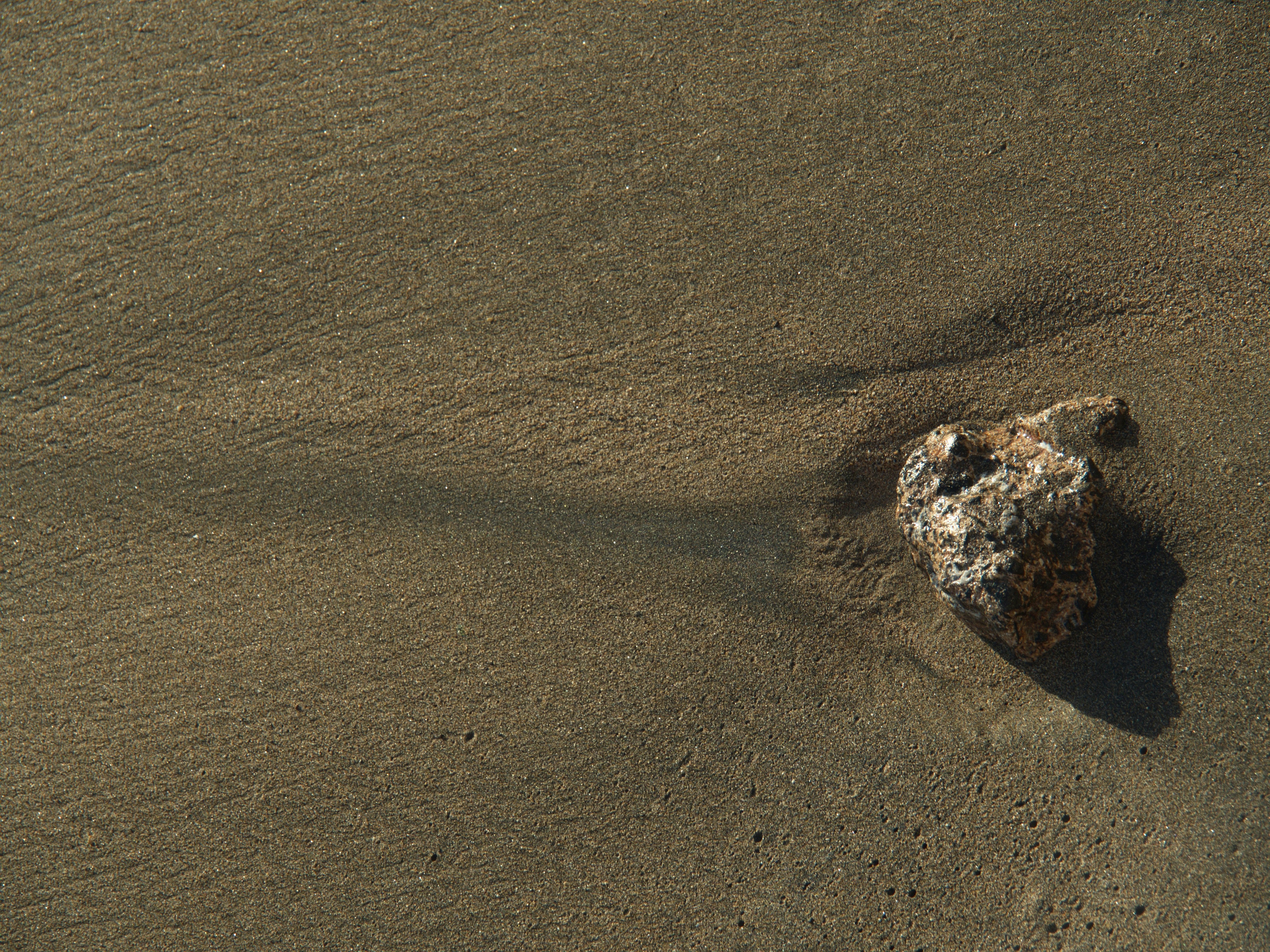 brown and black stone on brown sand