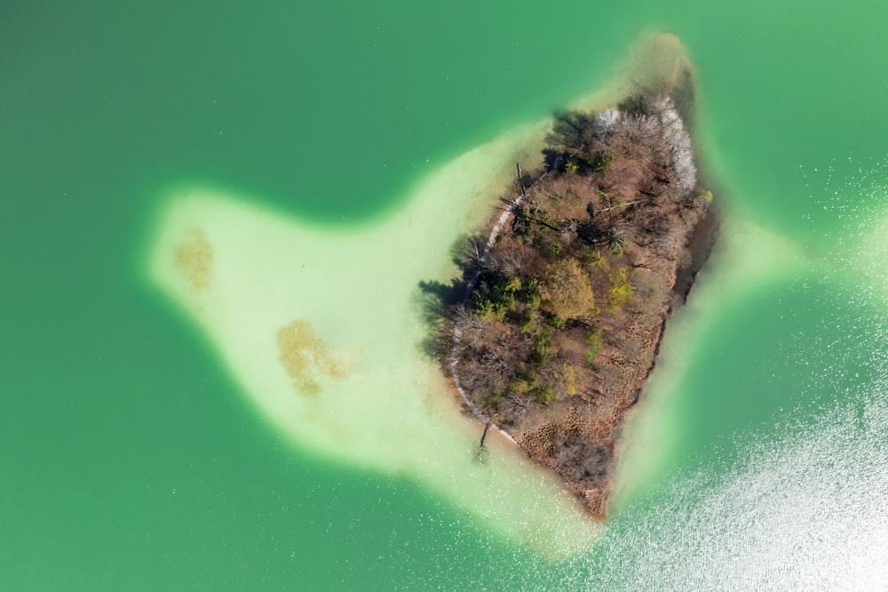 aerial view of green and brown island