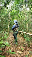 A person wearing a wide-brimmed hat and vest stands in a dense, lush rainforest environment, surrounded by vibrant greenery, vines, and a variety of plants. They appear to be exploring or observing the natural surroundings.