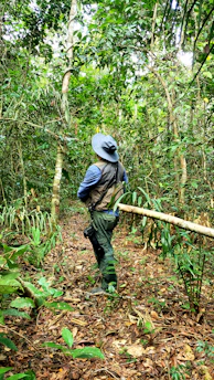 A researcher in the Amazon rainforest examining respiratory health data with local community members.