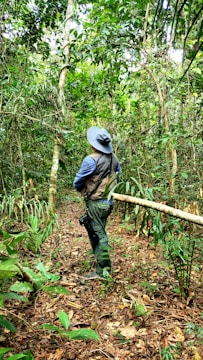 A person wearing a wide-brimmed hat and vest stands in a dense, lush rainforest environment, surrounded by vibrant greenery, vines, and a variety of plants. They appear to be exploring or observing the natural surroundings.