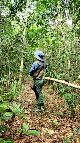 A ranger monitoring wildlife in a lush East African forest reserve.