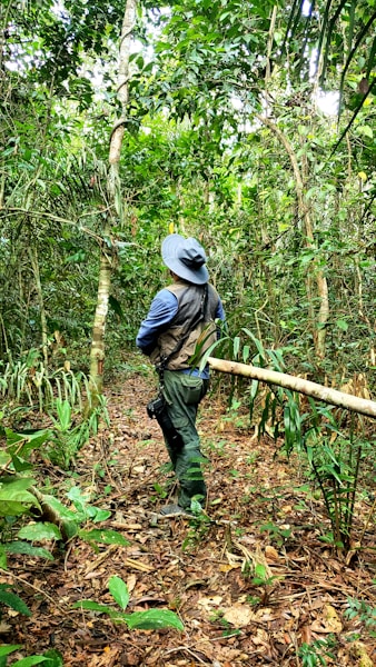A traveler exploring a lush Malaysian rainforest trail with a local guide.