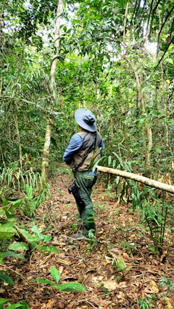 A person wearing a wide-brimmed hat and vest stands in a dense, lush rainforest environment, surrounded by vibrant greenery, vines, and a variety of plants. They appear to be exploring or observing the natural surroundings.