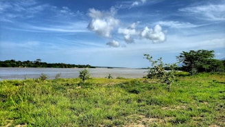 green grass field near body of water under blue and white cloudy sky during daytime